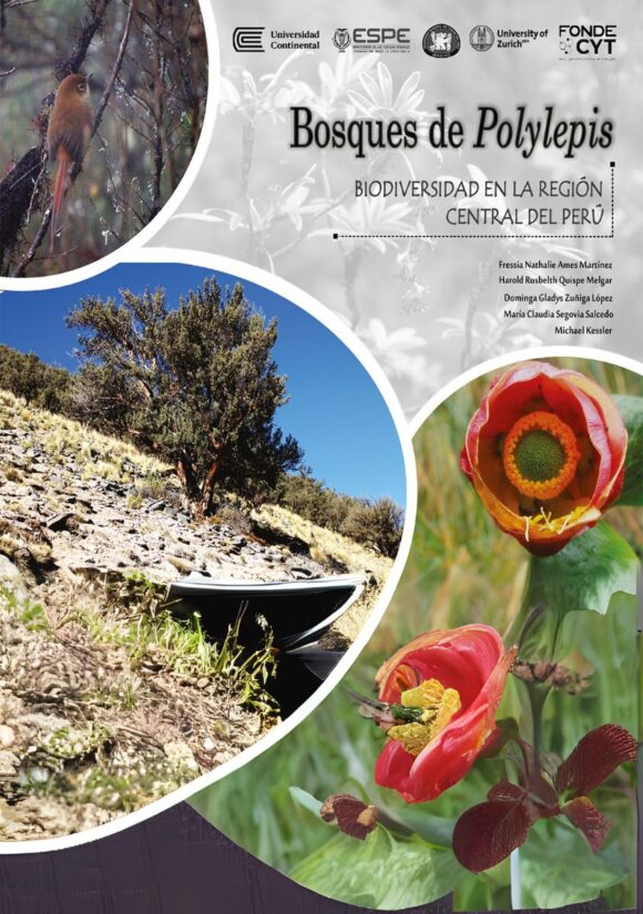 Bosques de Polylepis. Biodiversidad en la región Central del Perú