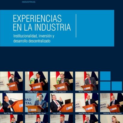 Experiencias en la industria: institucionalidad, inversión y desarrollo descentralizado