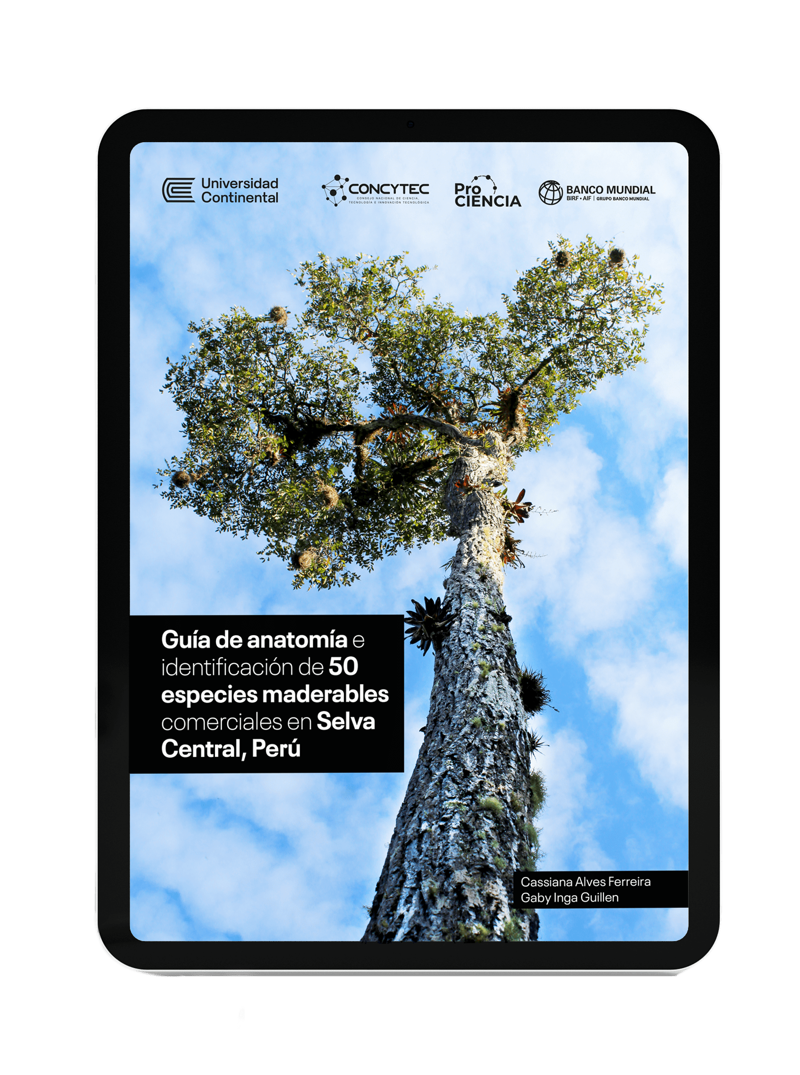 Guía de anatomía e identificación de 50 especies maderables comerciales en  Selva Central, Perú – Fondo Editorial