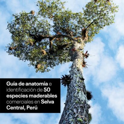 Guía de anatomía e identificación de 50 especies maderables comerciales en Selva Central, Perú