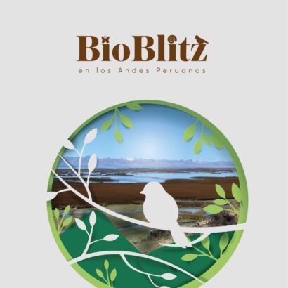 Bioblitz en los Andes Peruanos 2016-2017